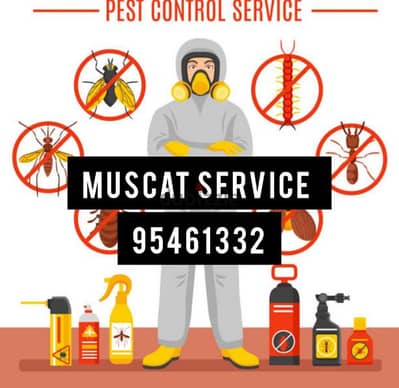 Pest Control service Bedbugs insect medicine available