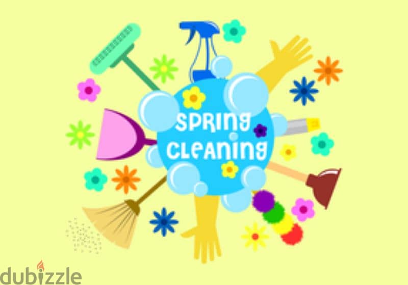 professional home and apartment deep cleaning services 0