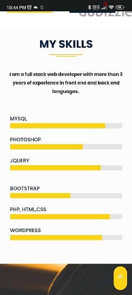 WordPress website designer and developer 3