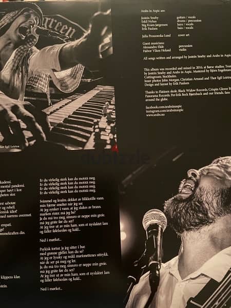vinyl record 2