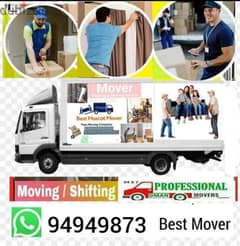 professional packar and movers house villa shifting