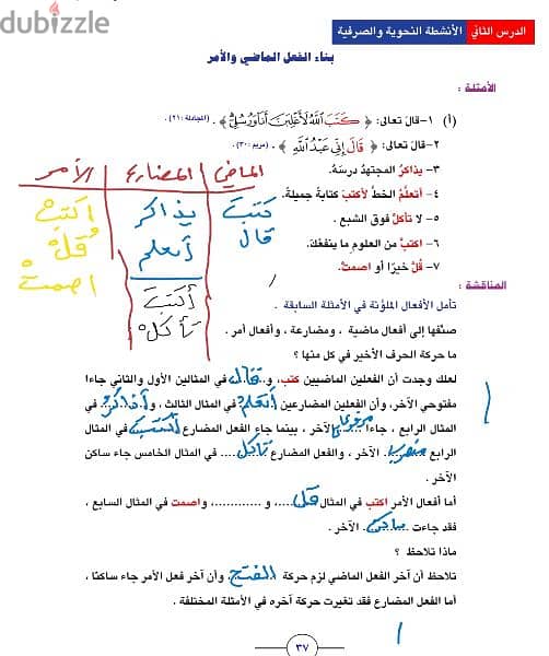 مدرس لغة عربية عماني 3
