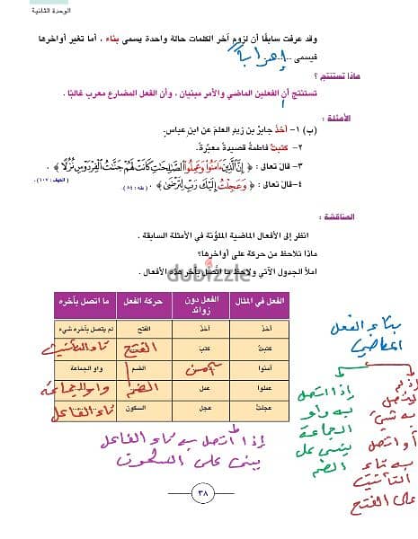 مدرس لغة عربية عماني 5