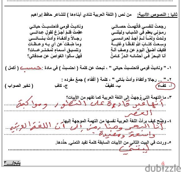 مدرس لغة عربية عماني 6