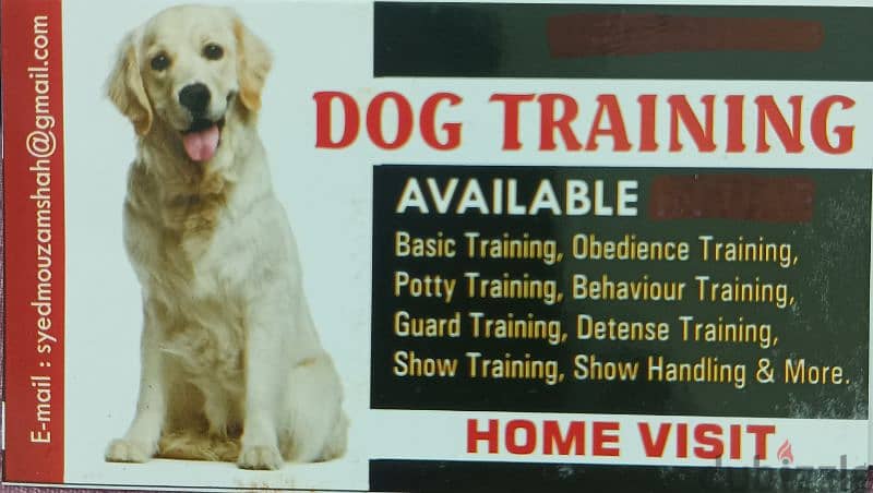 Pet care, grooming and handler 7