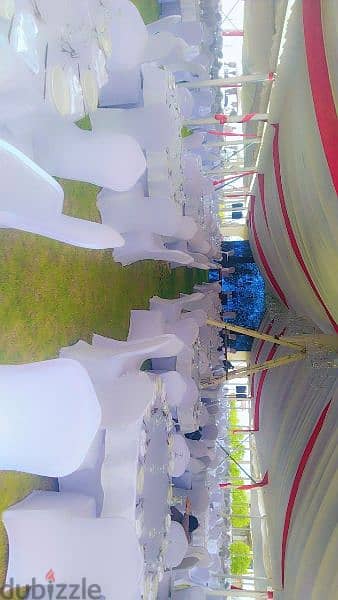 Tents rentals & Wedding supplies rental 4