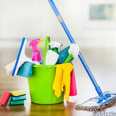 house apartment deep cleaning services