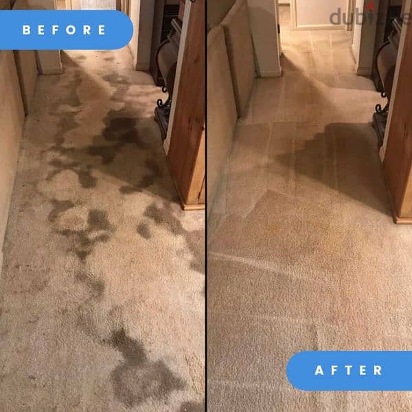 sofa And carpet shampooing cleaning services 0