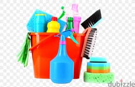 house and carpet cleaning services 0