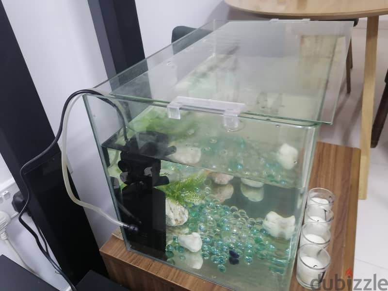 Aquarium set for sale 0