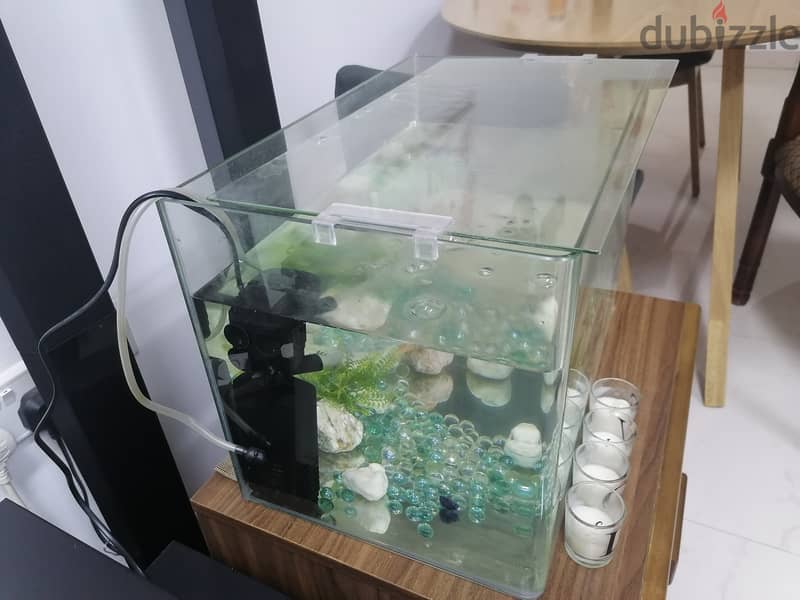 Aquarium set for sale 1