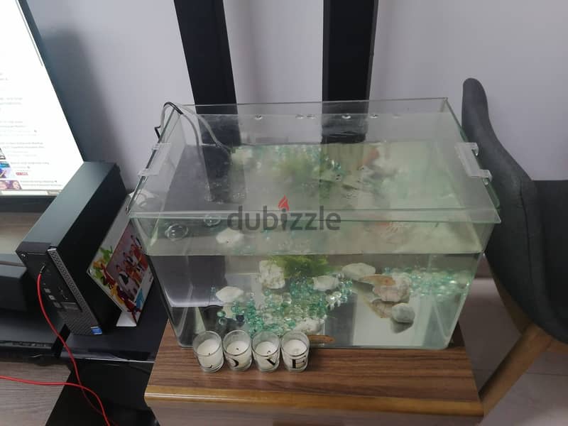 Aquarium set for sale 2