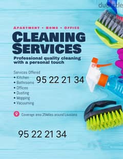 have professional team cleaning services 0