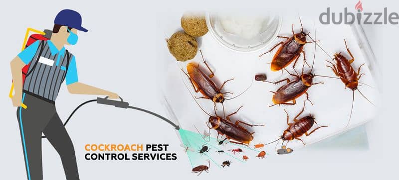 pest control services treatment's { 94491391 2