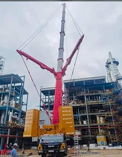 crane for rent from 25 ton to 220 ton pdo and oxy approved available 0