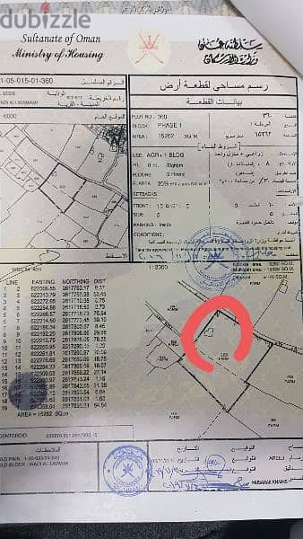 مزرعة ١٥ الف م. م. السيب وادي اللوامي