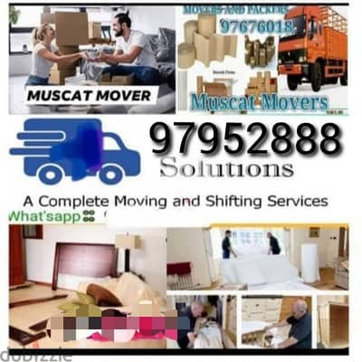 ali hassan best mover house shifting