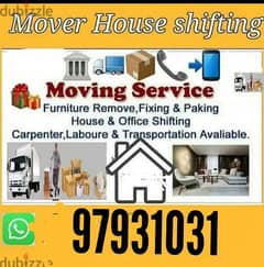 professional Movers and Packers House shifting office shifting