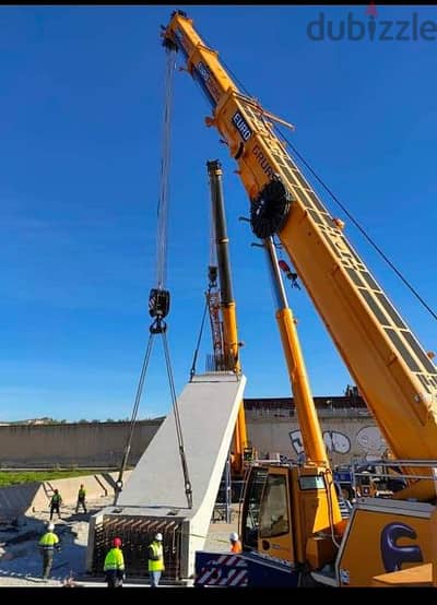 30-50-80-100-220 ton cranes available on reasonable rent