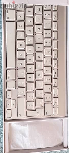 apple key board mouse with box like new