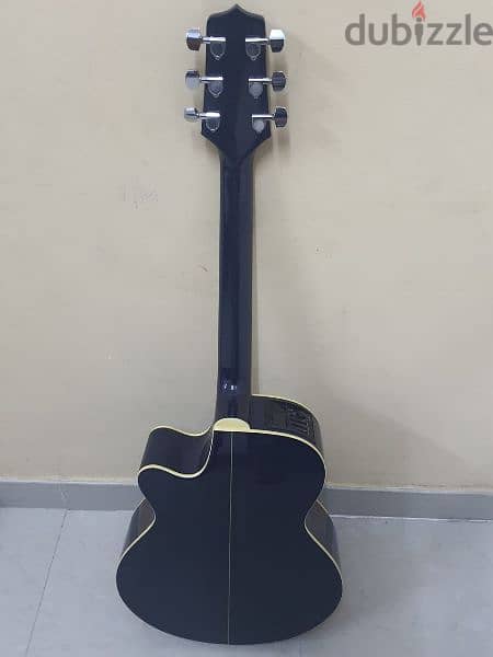 Semi Acoustic Guittar 6
