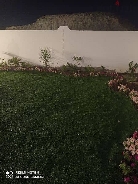 Artificial grass and other Landscaping work 2