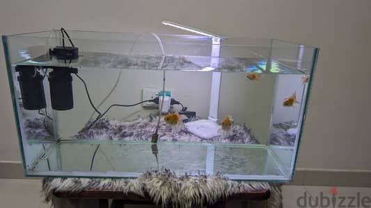 Fish Tank (No Fish)