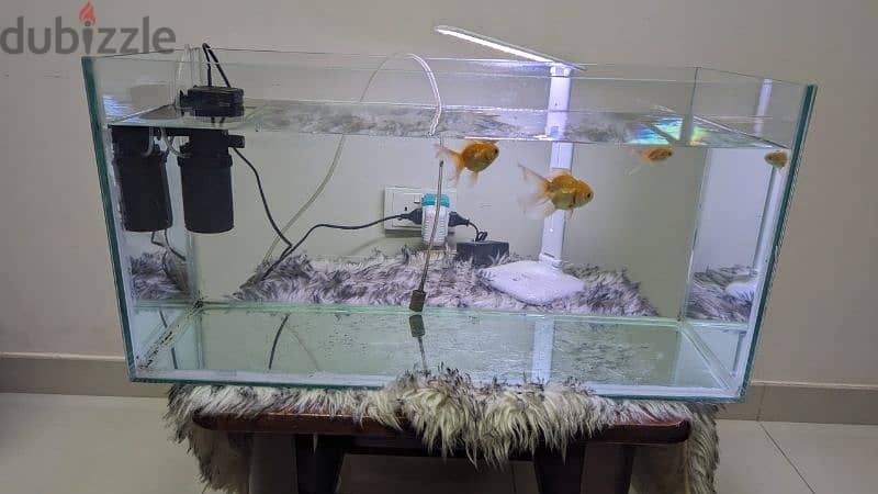 Fish Tank (No Fish) 1