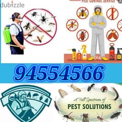 Pest Control Service with Gaurantee