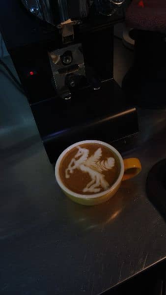 Senior barista 6