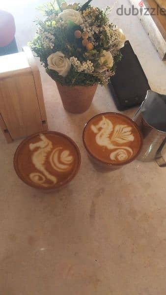 Senior barista 7