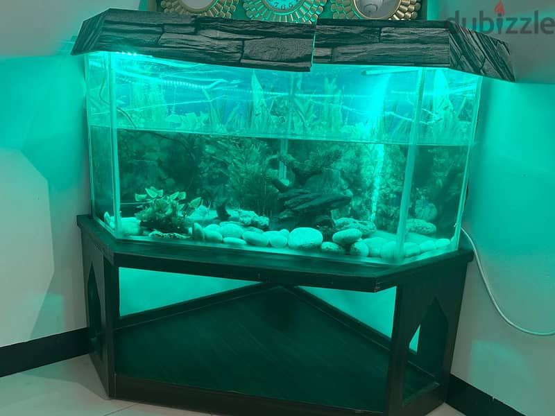 FISH TANK with Stand 3