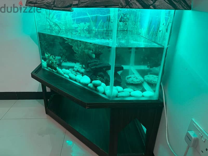 FISH TANK with Stand 2