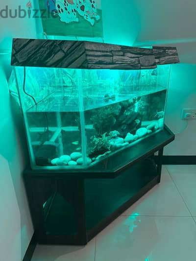 FISH TANK with Stand