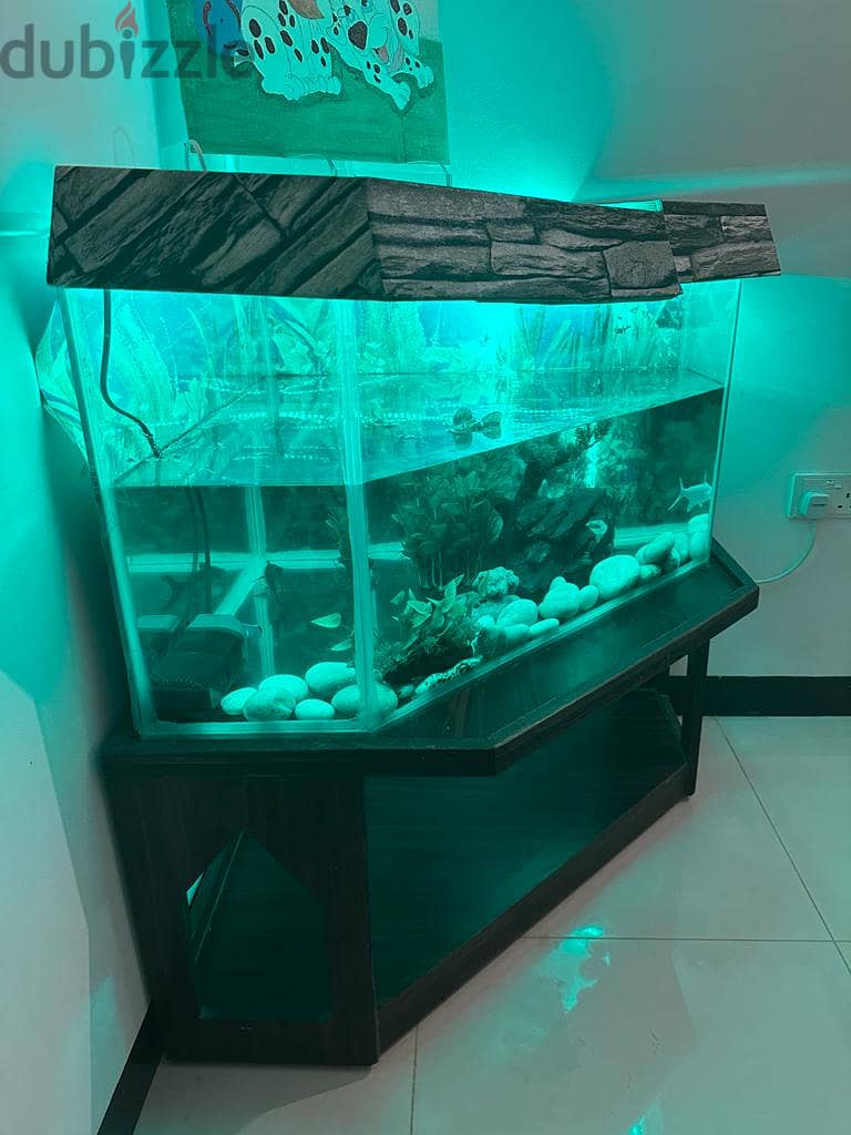 FISH TANK with Stand 0