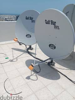 dish fixing at home services