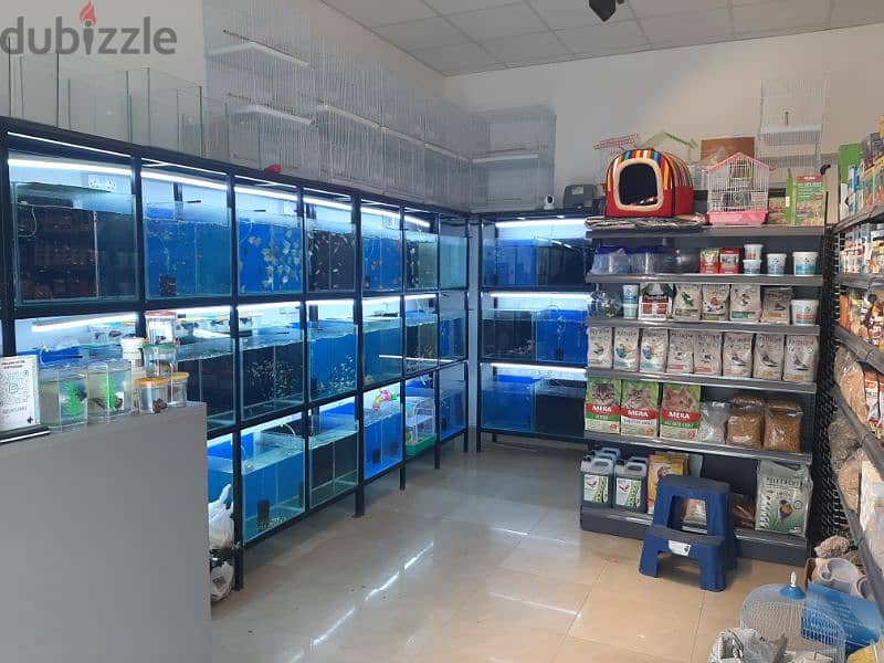 all pets and accesseries avialble our shop in goubra and al hail. 3