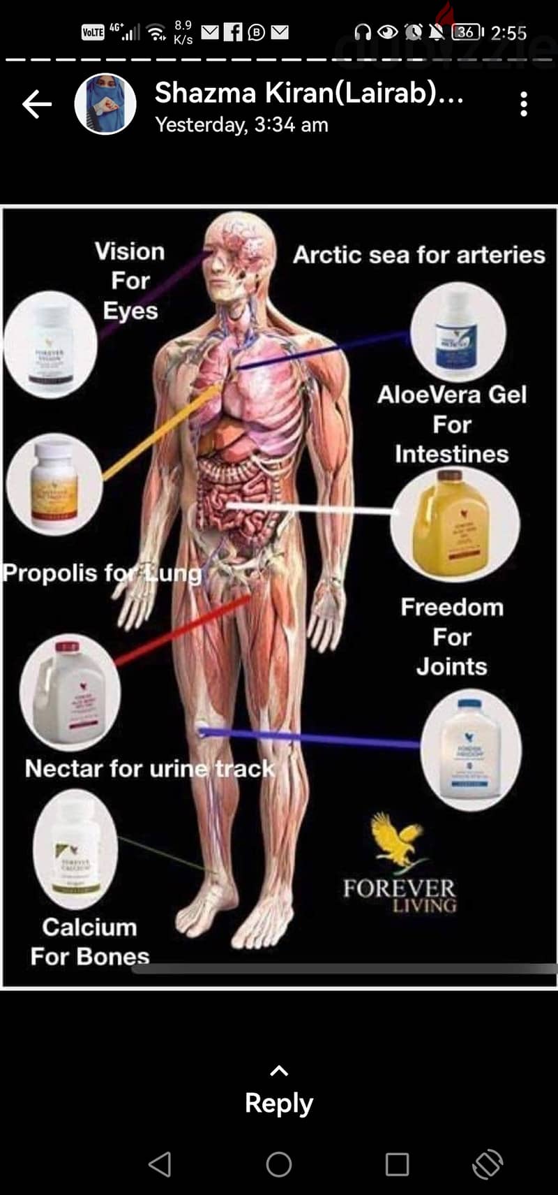 Forever living products 8