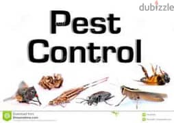 Pest Control Service and House Cleaning