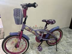 Disney girl bicycle