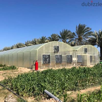 greenhouses