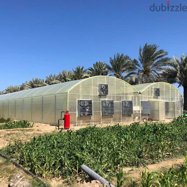 greenhouses and agricultural projects تركيب و صيانة البيوت المحمية 0