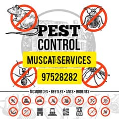 Pest control services available all over Muscat