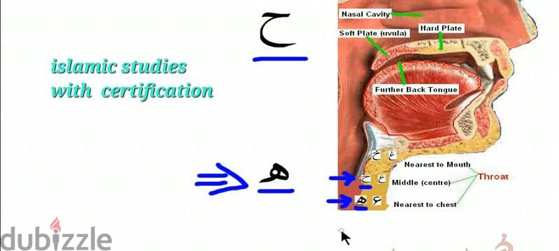 islamic studies 0