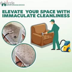 sofa and carpet shampooing cleaning services 0
