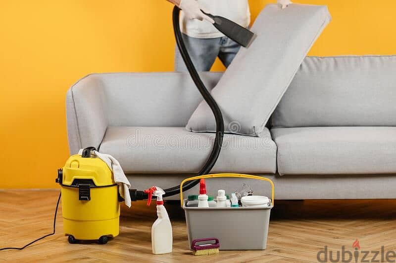 professional sofa or carpet cleaning services 0