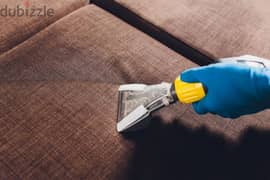 professional sofa and carpet cleaning services