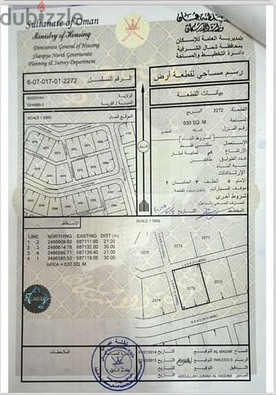 ثلاث قطع شبك في مخطط الغّبي ٢