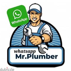 plumbing or home maintenance services