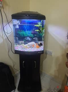 Aquarium with stand 0